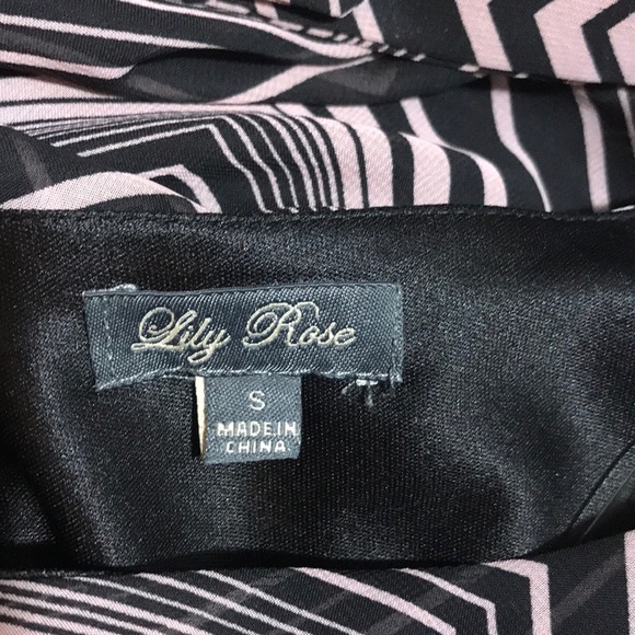 Lily Rose Chevron Blush and Black Dress - Picture 5 of 7